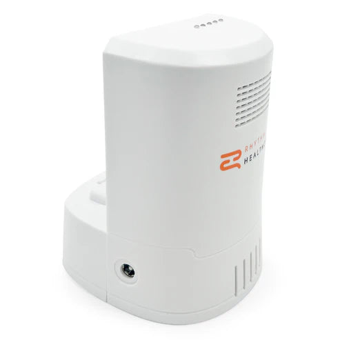 External Battery Charger for P2